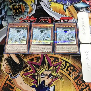 Salamangreat Fowl 1 Normal Parallel Set of 3 Tera.