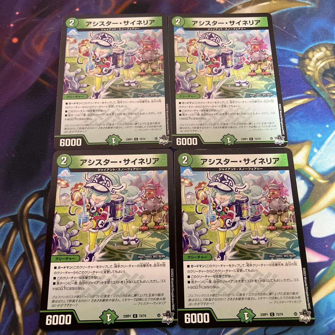 Assister Sineria C 73/74