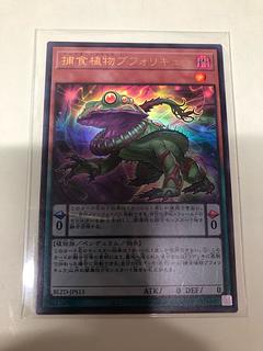 捕食植物ブフォリキュラ