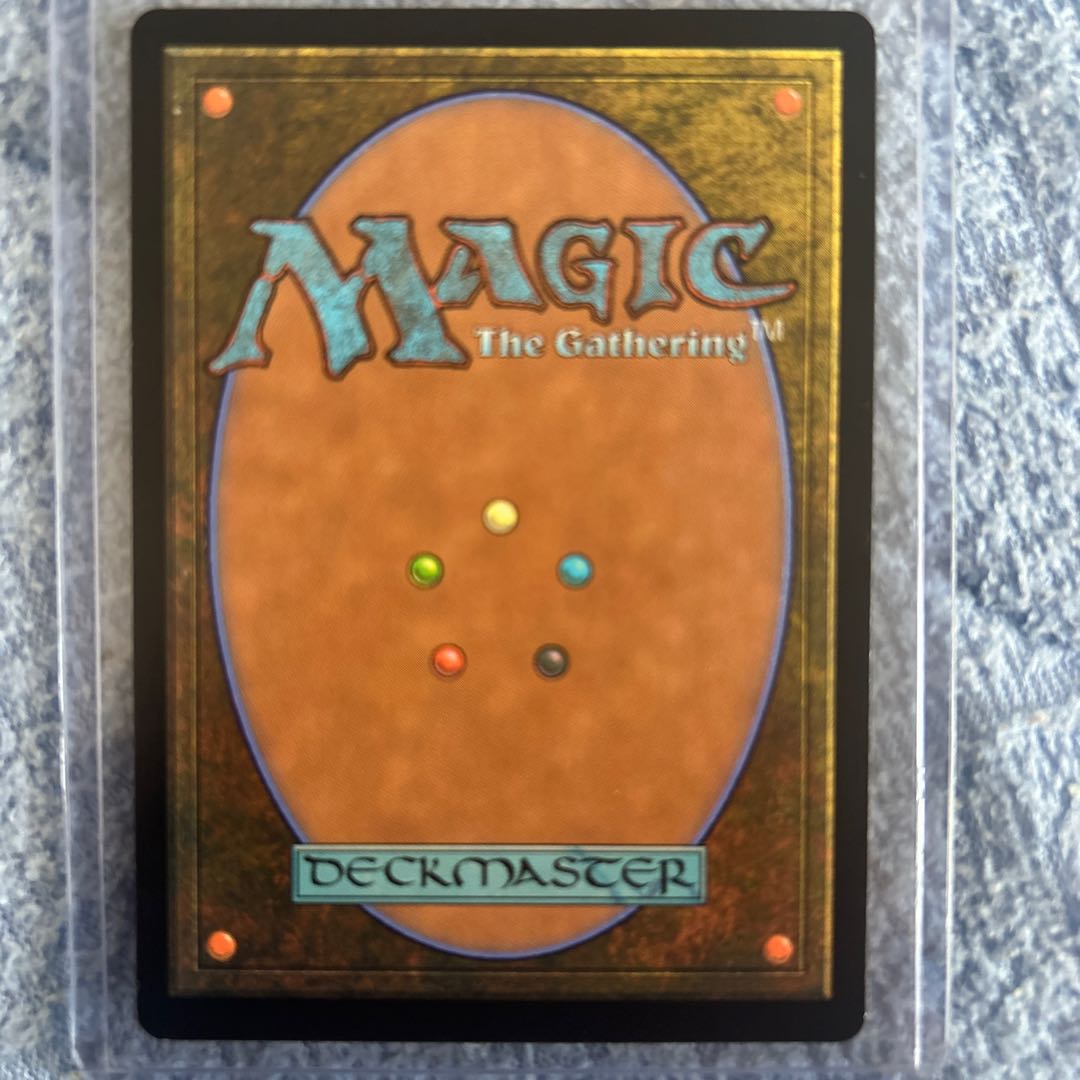 儚い存在　レア　日本画　mtg 1枚