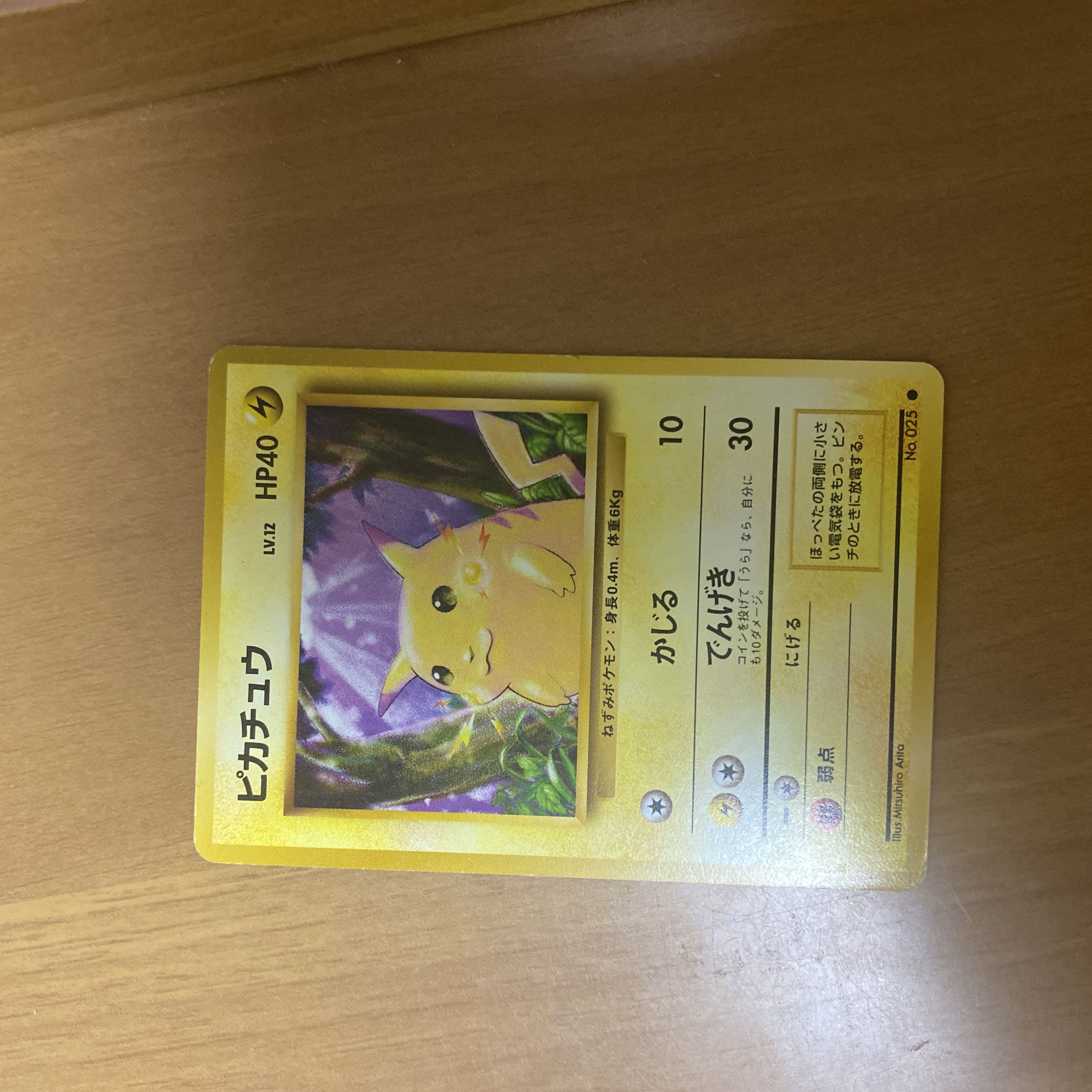 Pikachu (with logo) Old Back ● 1枚