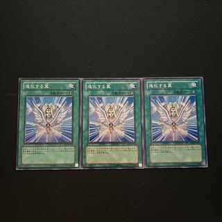 3787 Transcendent Wings☆3588