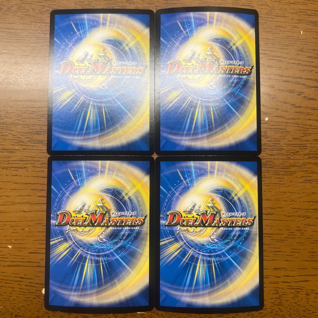 seiWond'Ramar SR S4/S10 1枚