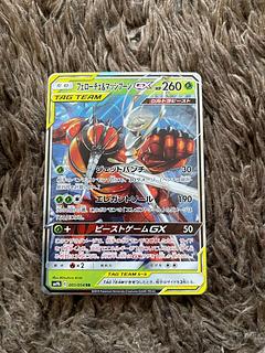 フェローチェ＆マッシブーンGX