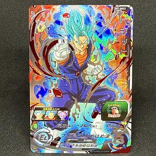 Vegetto SH1-SEC2 1枚