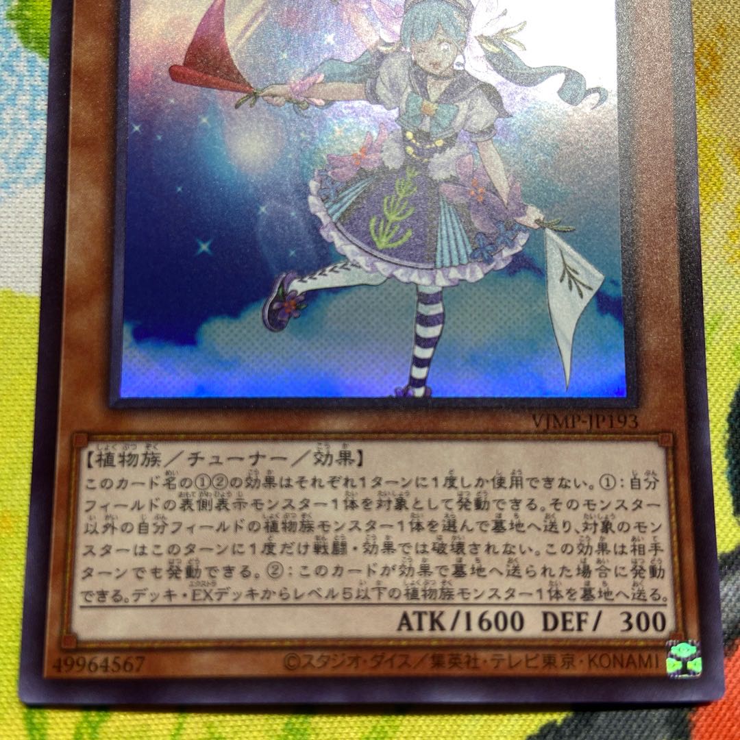 ステイセイラ・ロマリン 1枚