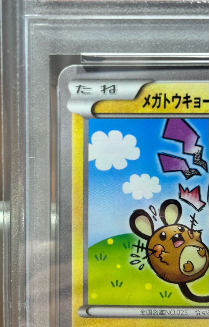 【PSA8】メガトウキョーのピカチュウ PROMO 204/XY-P 1枚