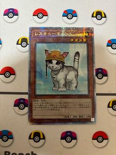 遊戯王 - 遊戯王　レスキューキャット TU スーパー　美品 レスキューキャット【遊戯王トレカお買得価格通販：トレコロ】