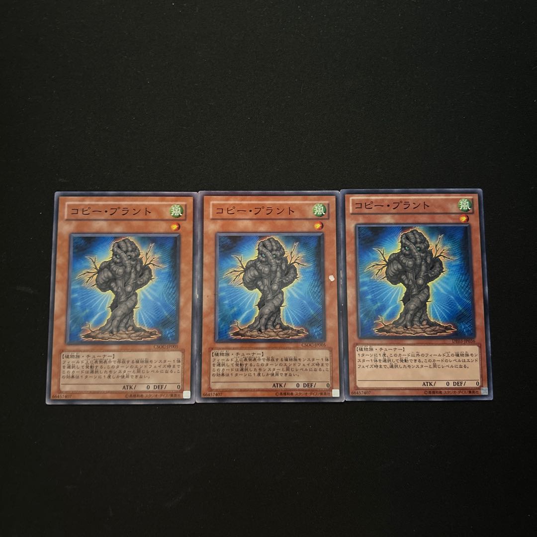 3682 Copy plant☆3323