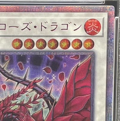 ブラック・ローズ・ドラゴン 20th PSA10 ブラックローズドラゴン 20th PSA10 - メルカリ