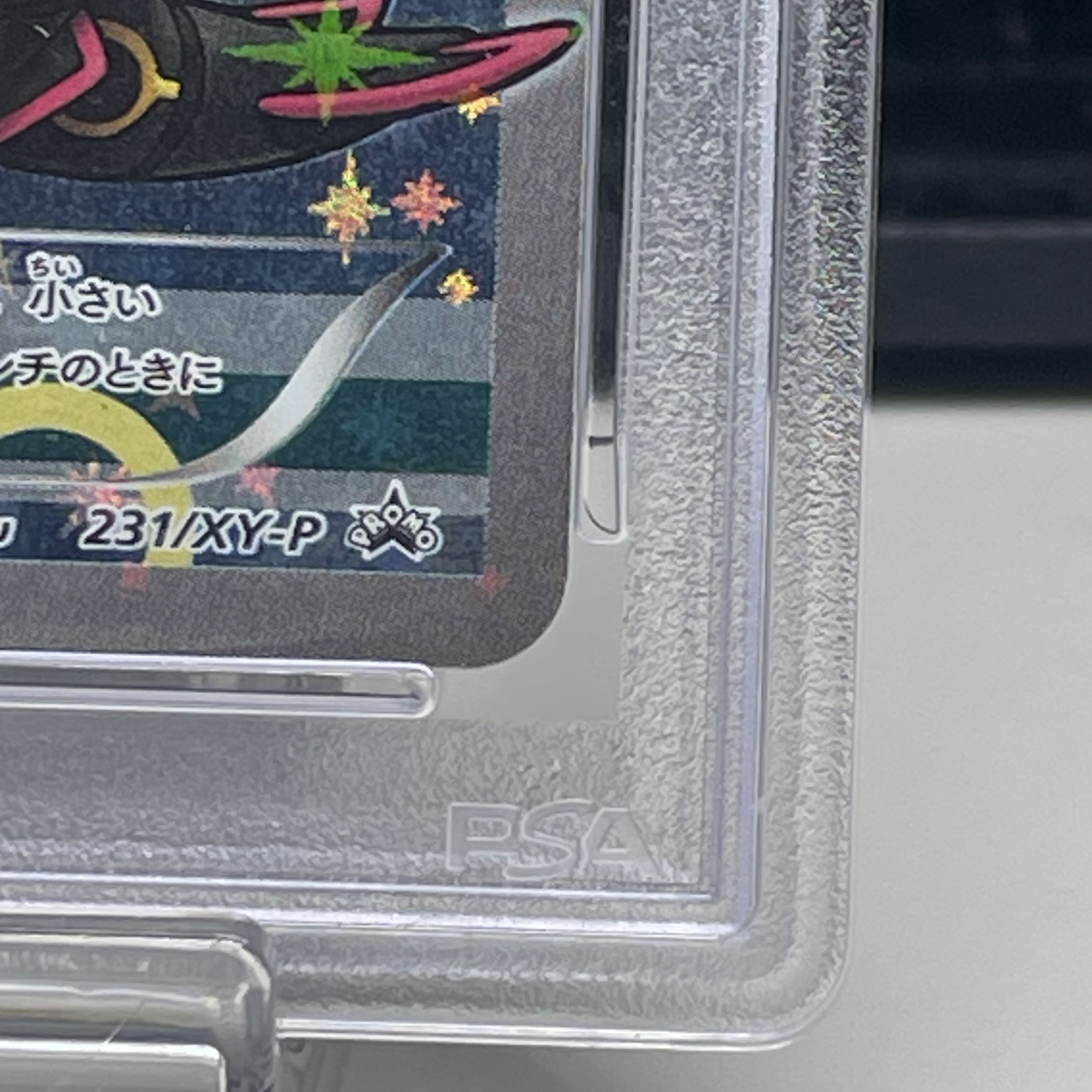 PSA10] Pikachu PROMO 231/XY-P in poncho