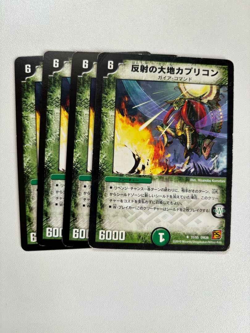 Capricorn, the Land of Reflection 1枚