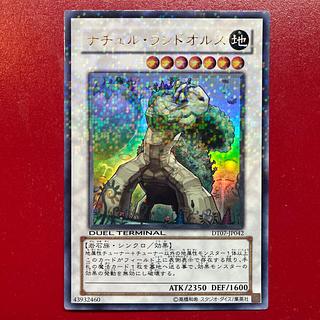 ナチュル・ランドオルス」の激安通販 | magi