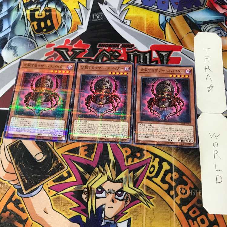 Defender of the Ice Barrier TW01 1 Normal Parallel Effect 3-card set Tera