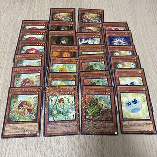 Yu-Gi-Oh Ancient Naturals Deck
