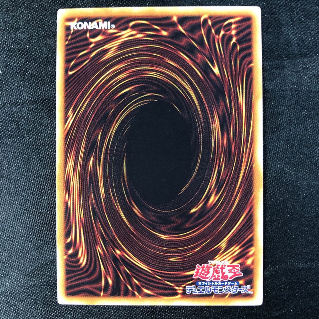 Parallel eXceed Normal JP001 (Used) （1718225166）| magi