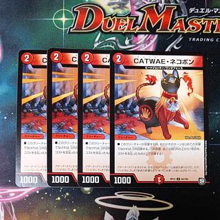 CATWAE・ネコボン U 54/104 4枚