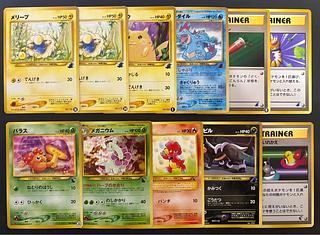 neo intro pack set (Totodile mark & Chikorita mark) Pokemon old back 11枚