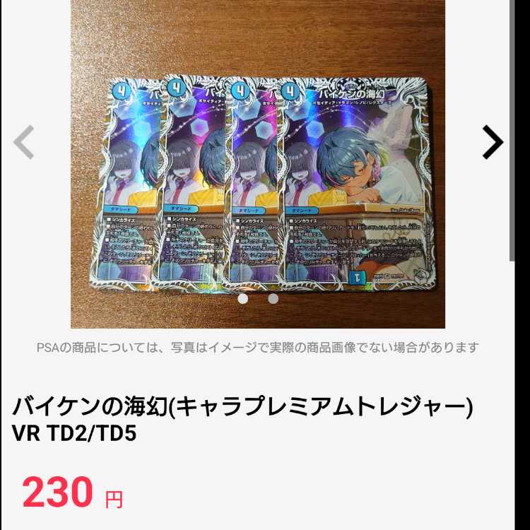 極世接続 G.O.D.Z.A. SR S9/S11 1枚