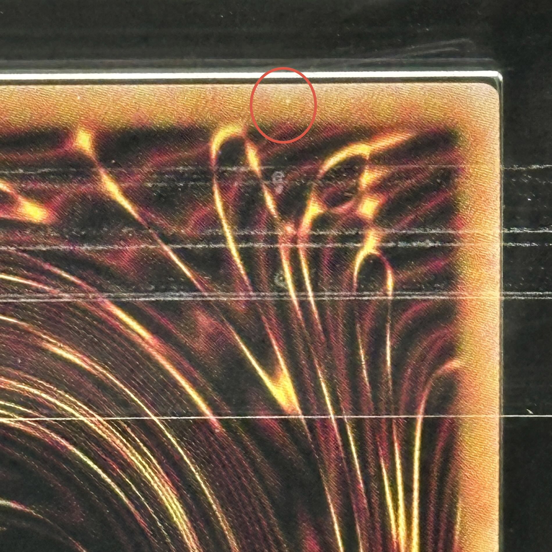 【ARS10+】白き森のアステーリャ QCSE・25thシク INFO-JP013 1枚