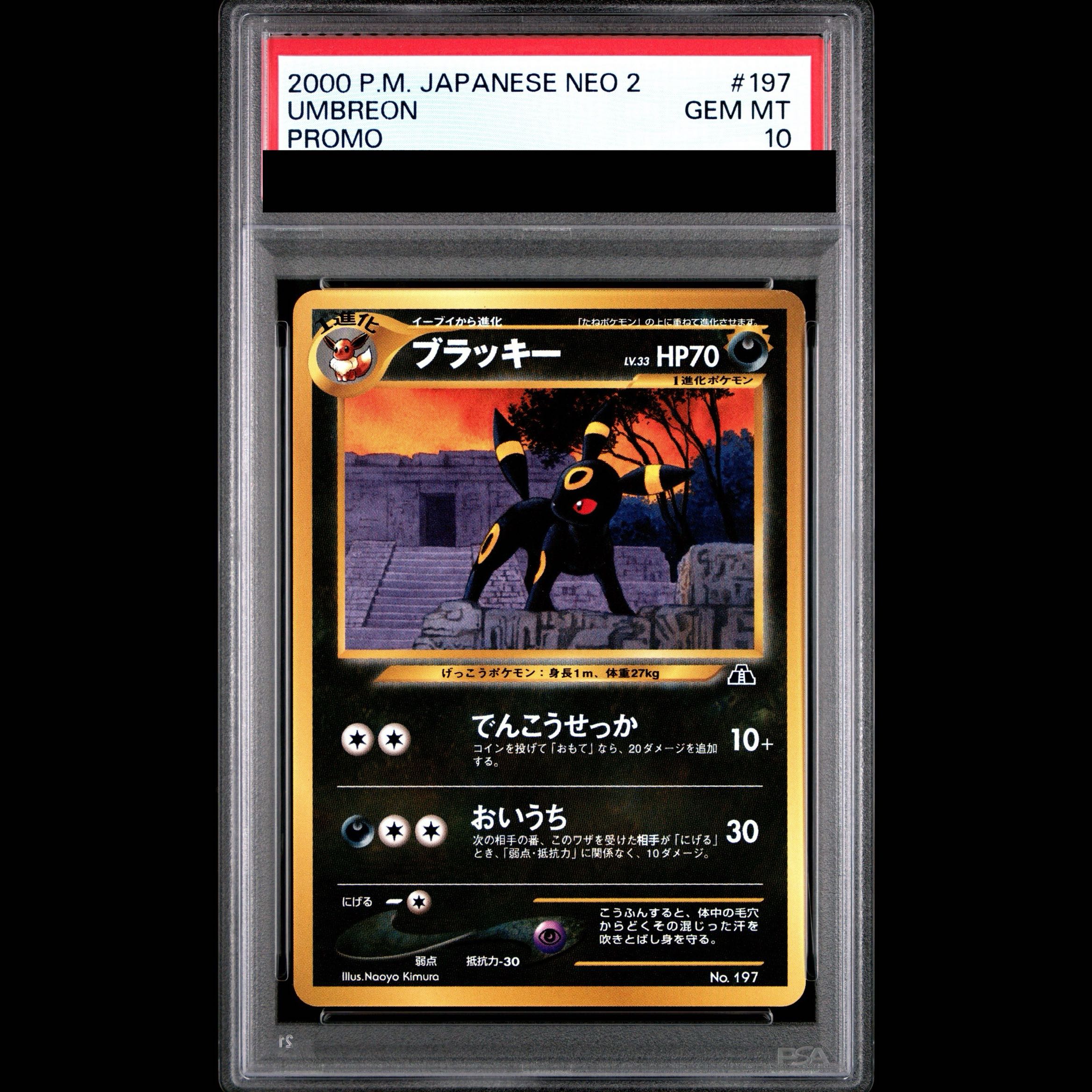 【PSA10】ブラッキー プレミアムファイル 旧裏  1枚
