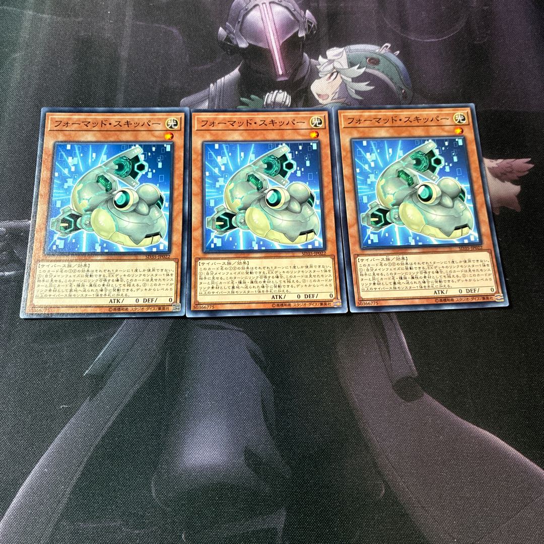 フォーマッド・スキッパー　A-979