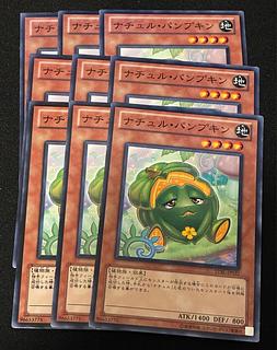 ナチュル・パンプキン