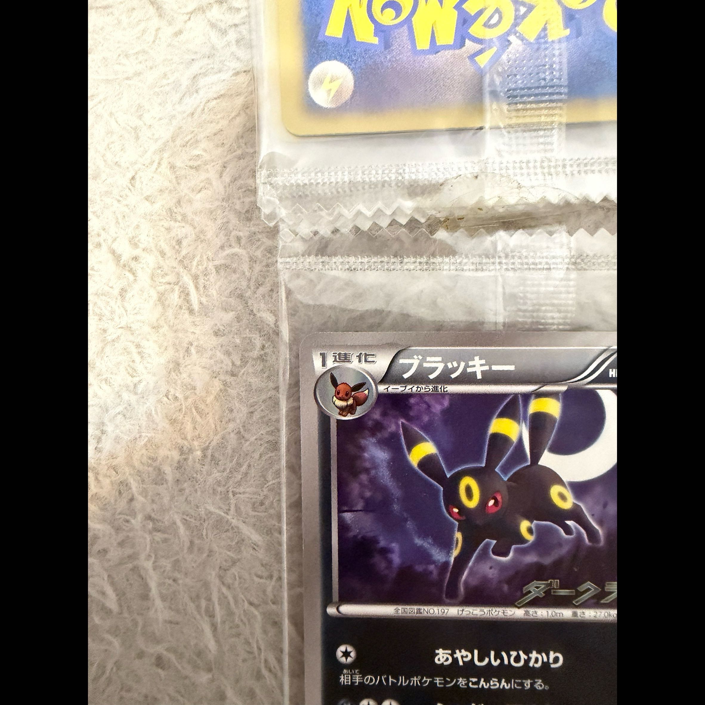 未開封 ブラッキー ダークラッシュ キャンペーンパック PROMO 115/BW-P 1枚