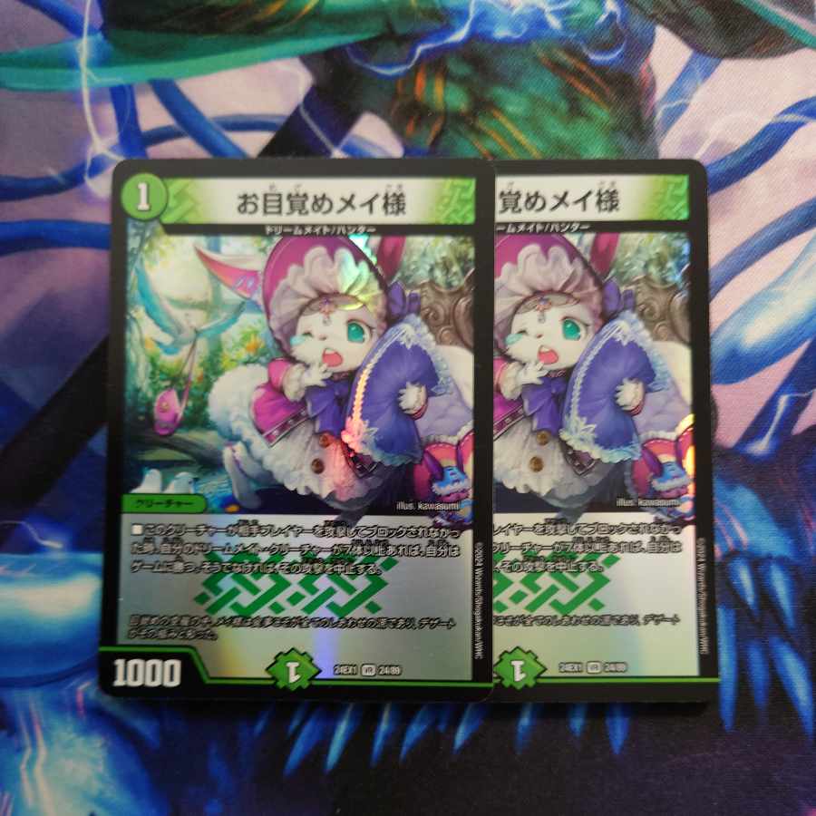 Dear Awakening Rosa, VR 24/89