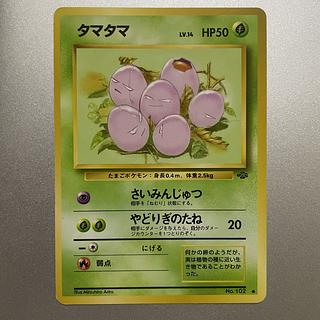 タマタマ　旧裏 1枚