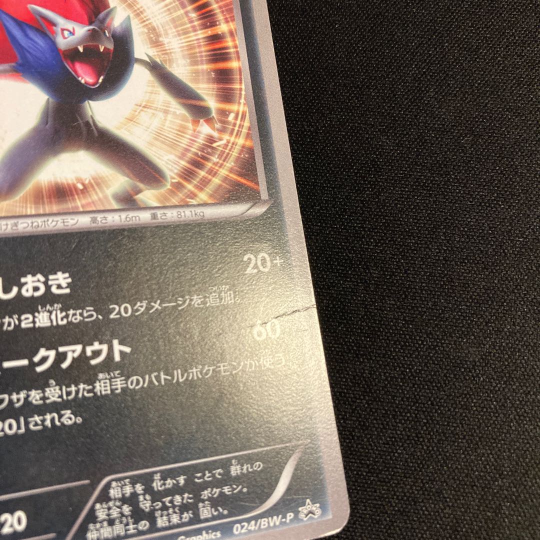 j105 Zoroark 024/BW-P Promo Pokémon TreTre (Shows signs of folding) 1枚