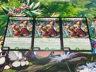 D-165 大冒犬ヤッタルワン C 3枚