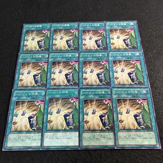 a2708 [Yu-Gi-Oh!] Harpies' Hunting Ground 12-Card Set 12枚