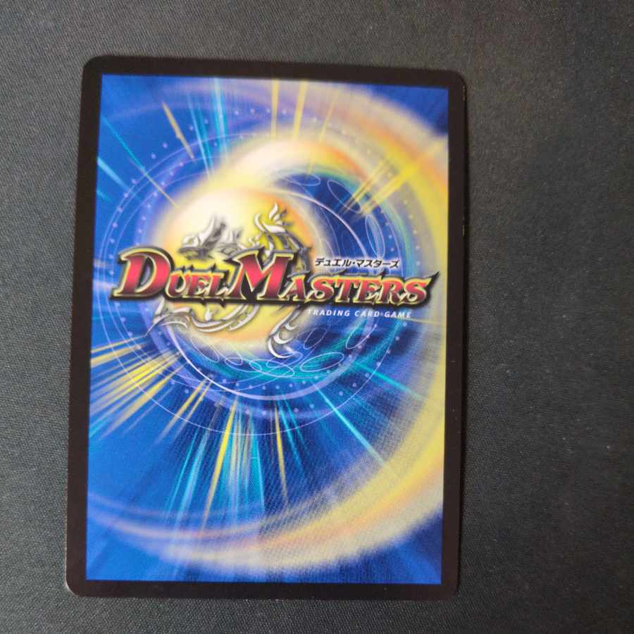 龍素記号wD サイクルペディア SR 18/130