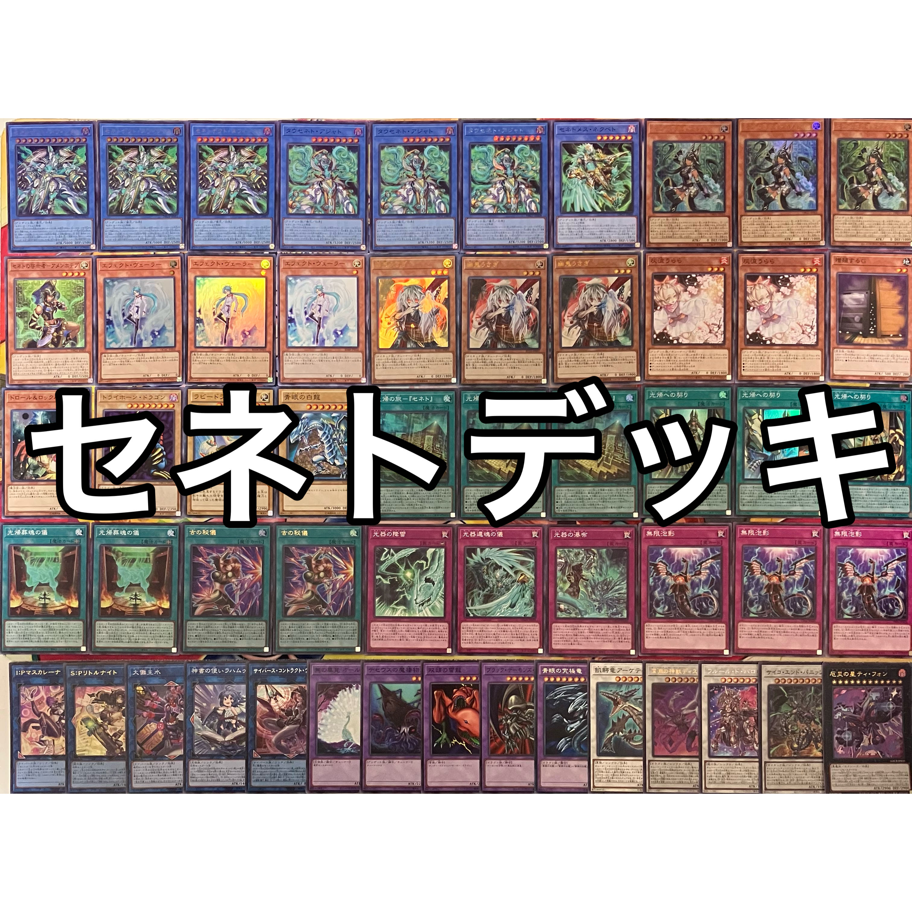 No.1561 セネトデッキ 遊戯王 Zenet deck 1枚