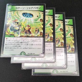 Kakuna Shanabagan R 28/93