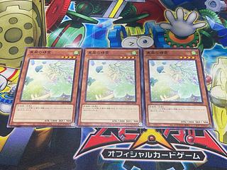 Y-2823 Spirit of the Fall Wind Normal DBPR-JP028