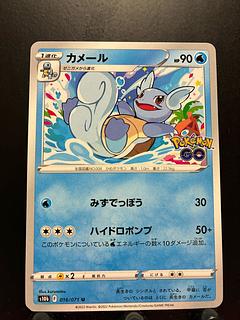 Rakurakudo] Pokeka Wartortle