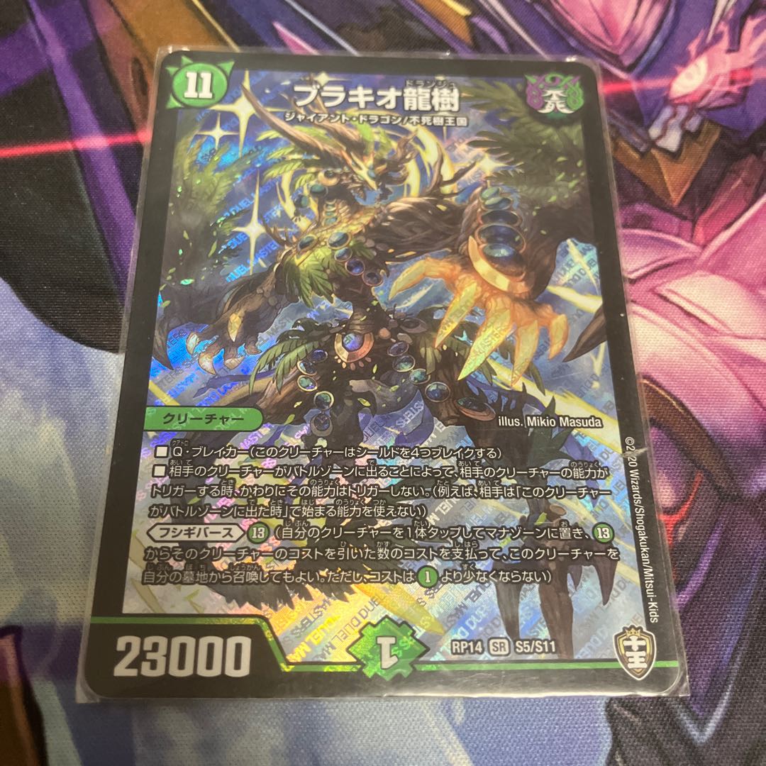 Ryuki Brachio SR S5/S11