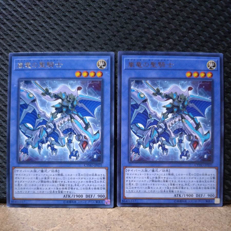 【ぽぽたん】遊戯王  2533  嵐竜の聖騎士 レア  2枚  2枚