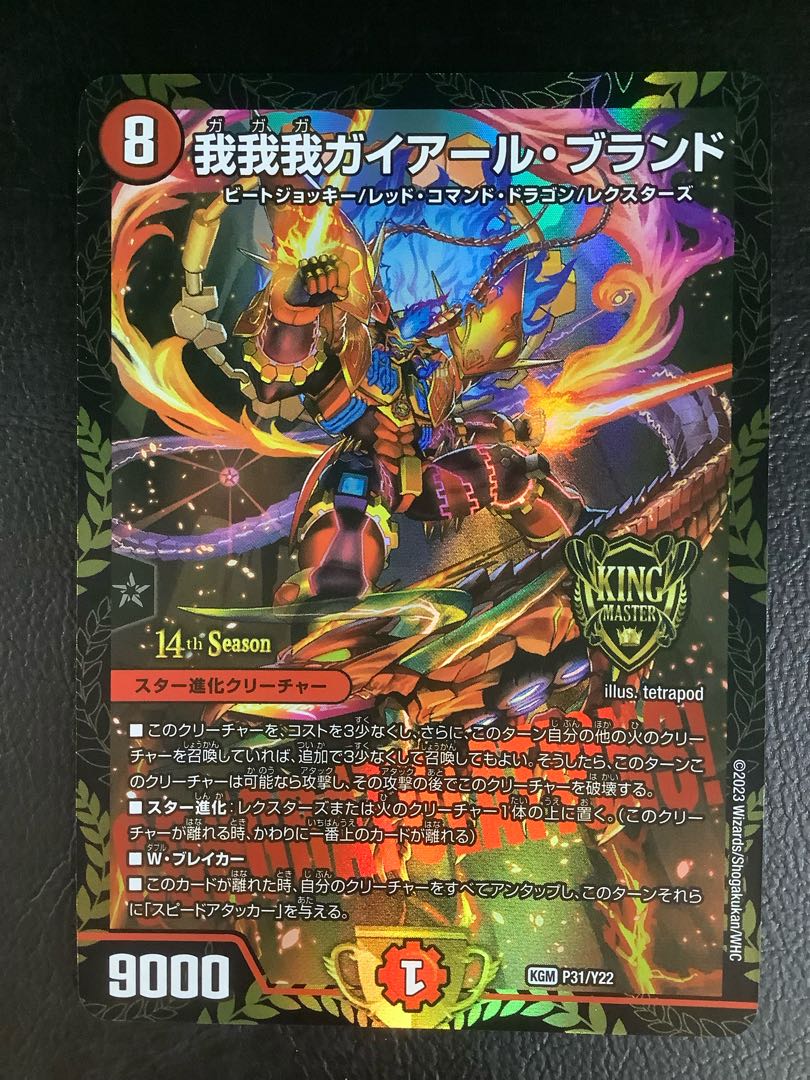 (2) GAGA GAIAR Brand KGM P31/Y22 1枚