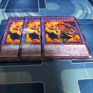 竜王絶火ゾロア　ノーパラ