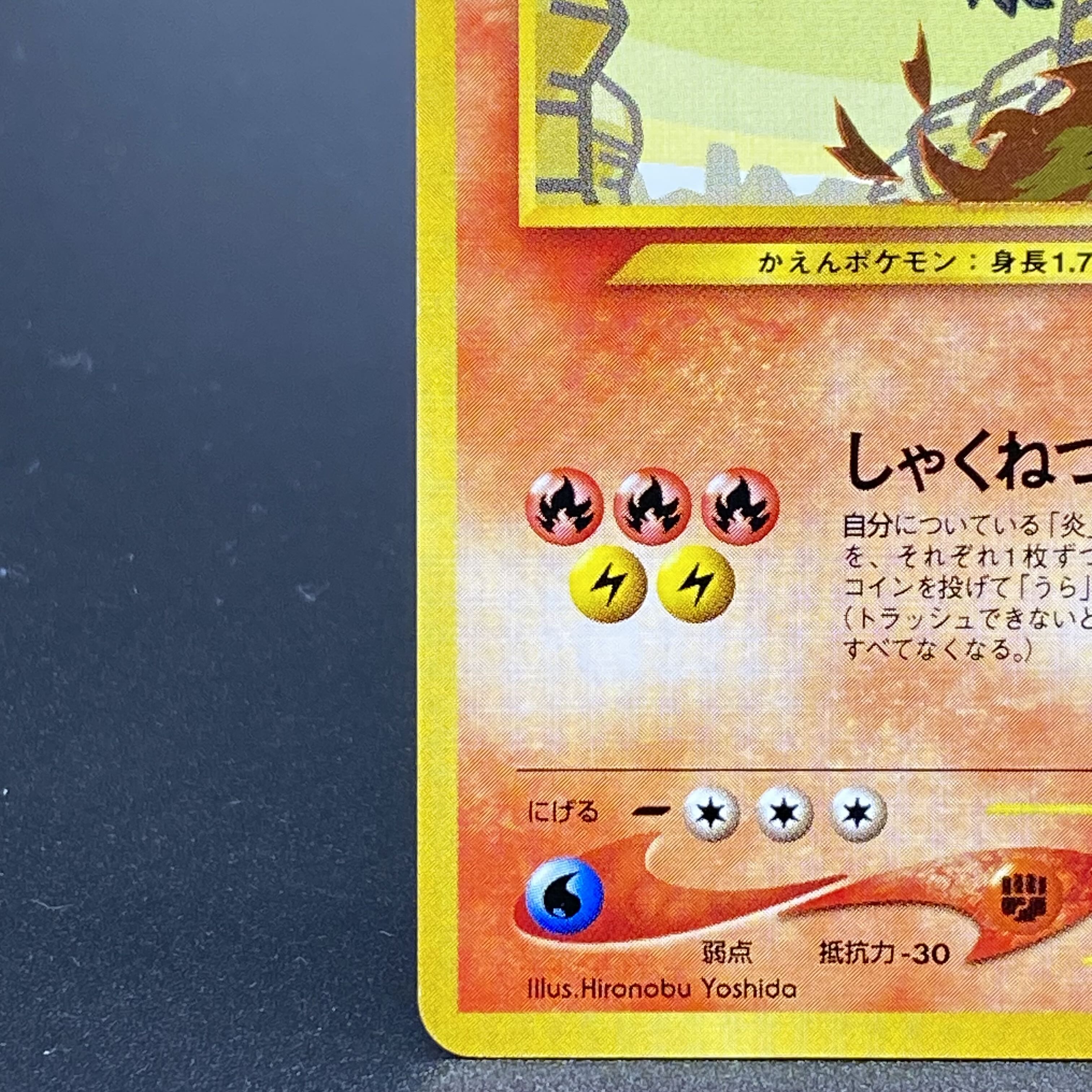 Hikaru Charizard Kira Old Back ★★★★ 1枚