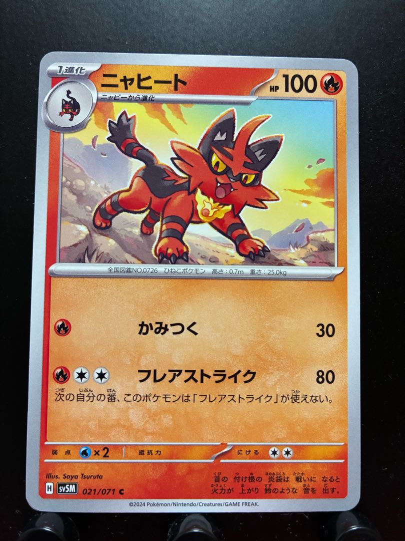 Rakurakudo] Pokeka Torracat