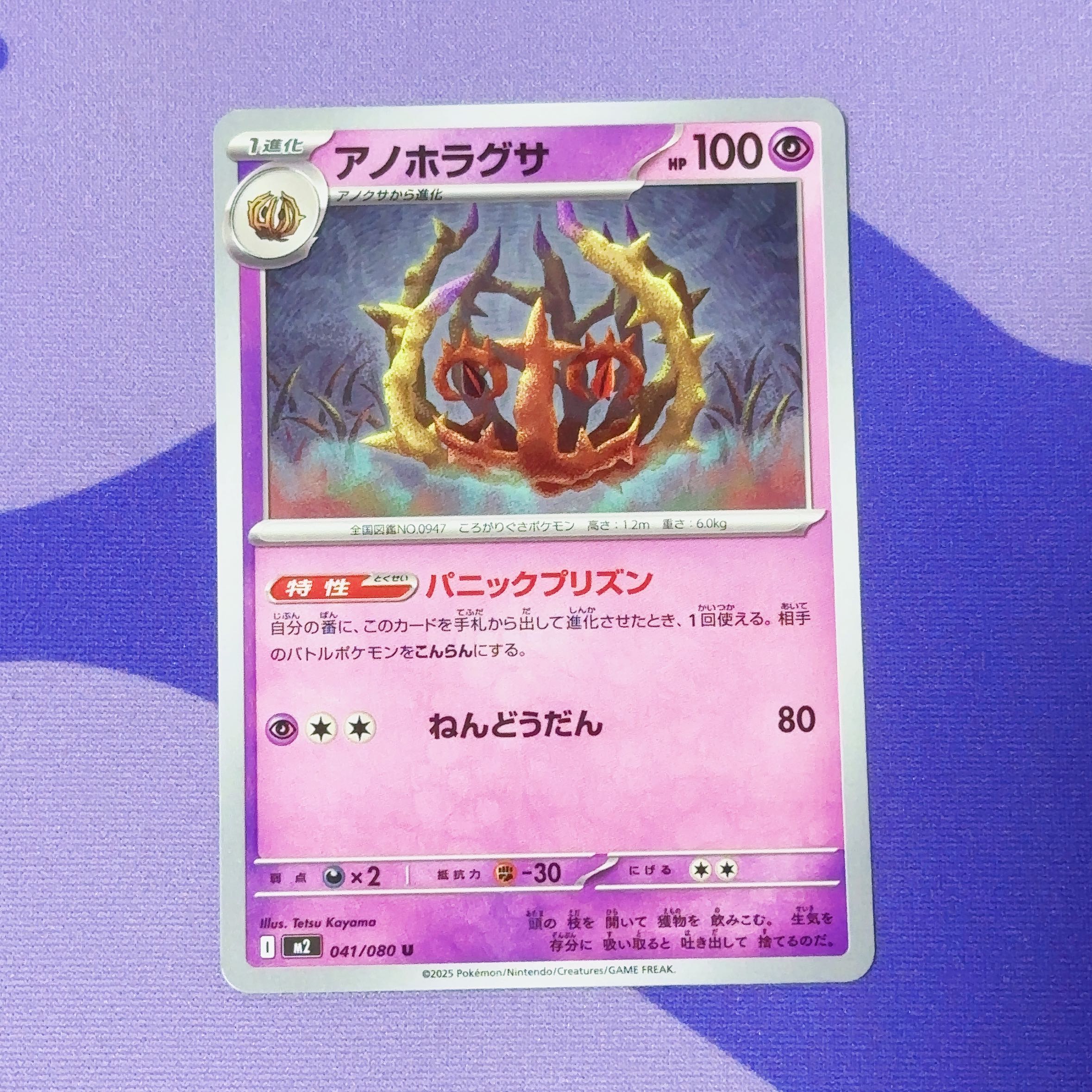 Anohoragusa U 041/080