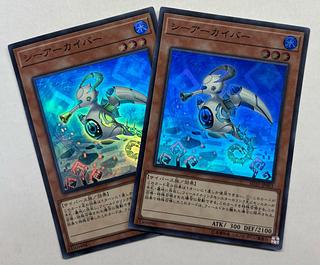 Sea Archiver Super Rare, set of 2