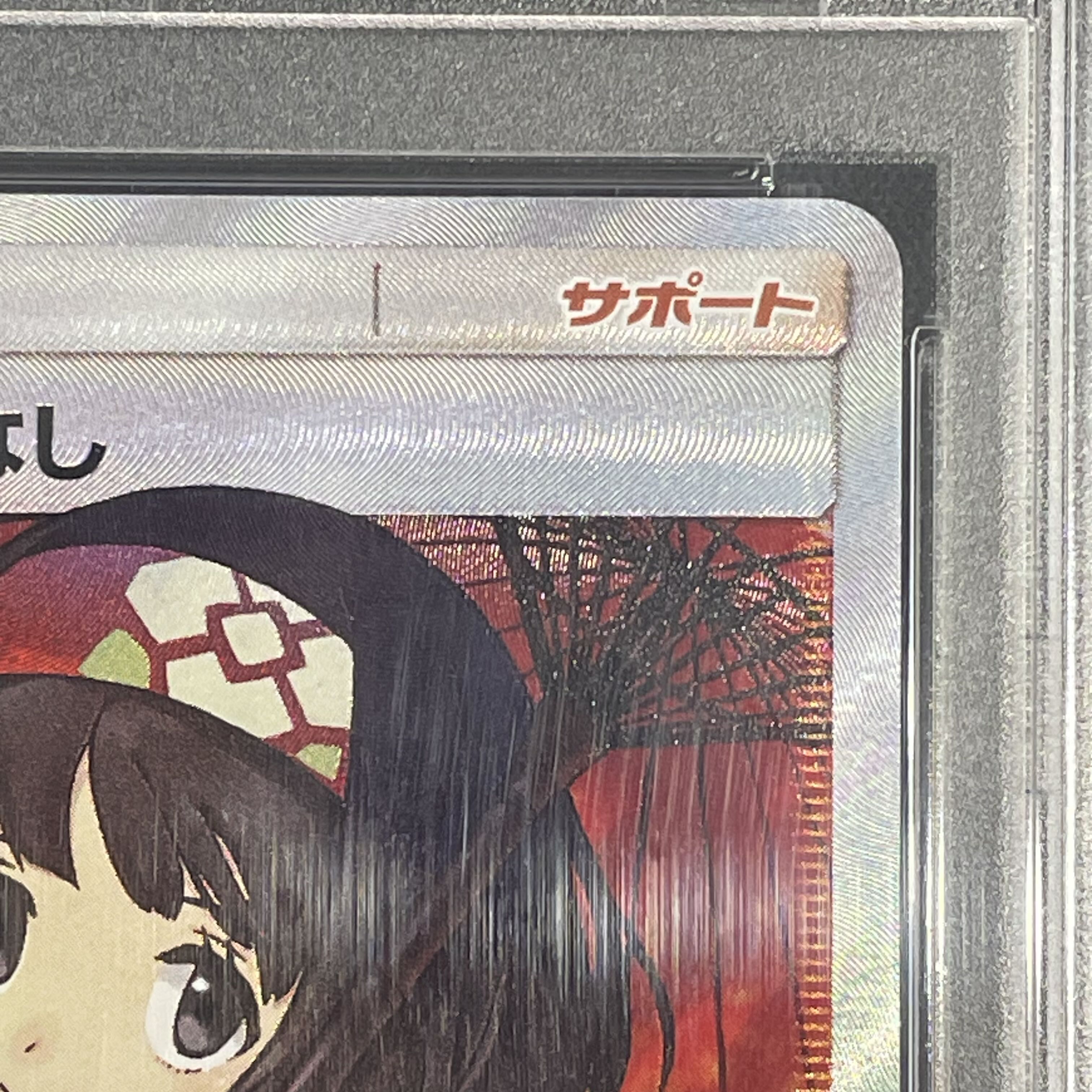 [PSA10] Erika's Hospitality SR 190/173