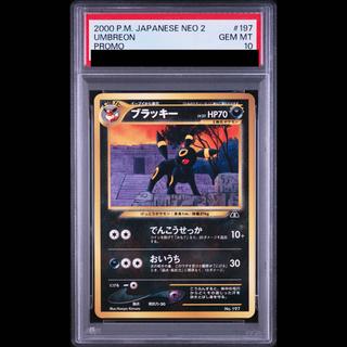 【PSA10】ブラッキー プレミアムファイル 旧裏  1枚