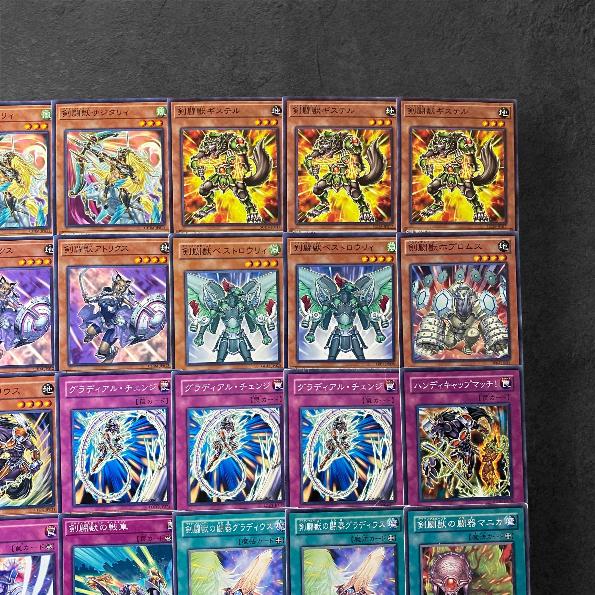 8024【遊戯王】剣闘獣〈デッキパーツ〉30枚セットの通販 8024【遊戯王】剣闘獣〈デッキパーツ〉30枚セットの通販
