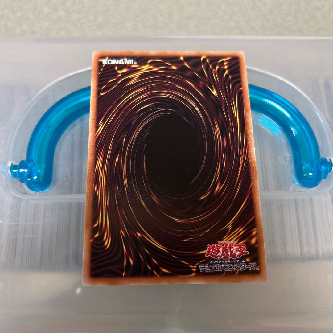 Teaching Lightning Fullde Squirrel Ultimate Rare DOOD-JP026